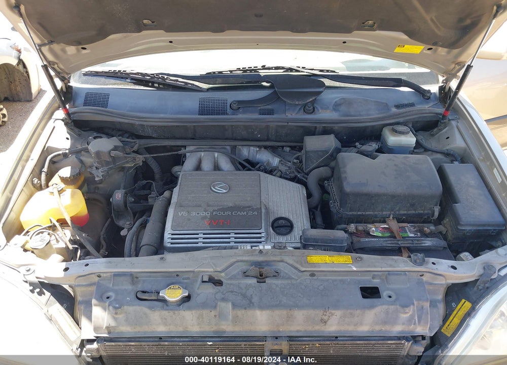 2001 LEXUS RX 300 VIN: JTJHF10U710220454