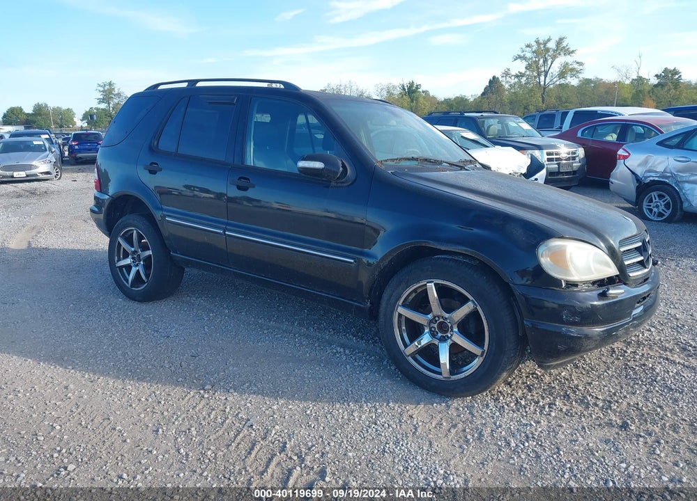 2002 MERCEDES-BENZ ML 320 VIN: 4JGAB54E12A367788