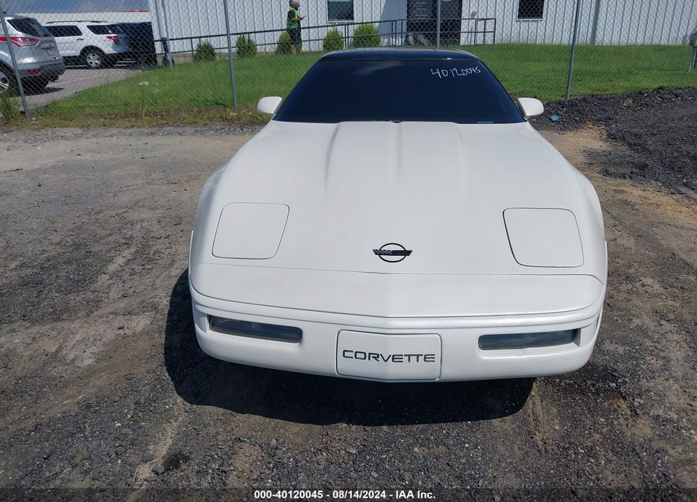 1991 CHEVROLET CORVETTE VIN: 1G1YY2382M5101132