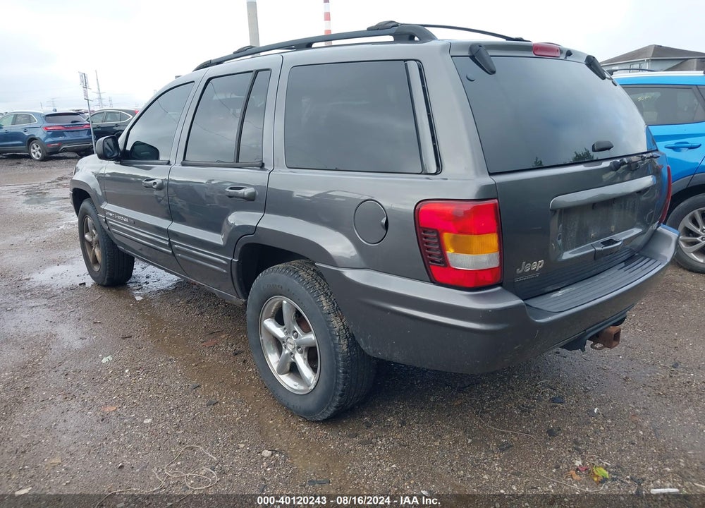 2002 JEEP GRAND CHEROKEE LIMITED VIN: 1J4GW58N02C230675