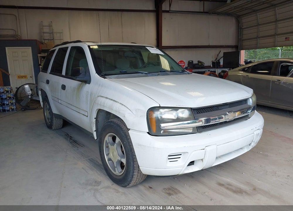 2007 CHEVROLET TRAILBLAZER LS VIN: 1GNDS13S172129675