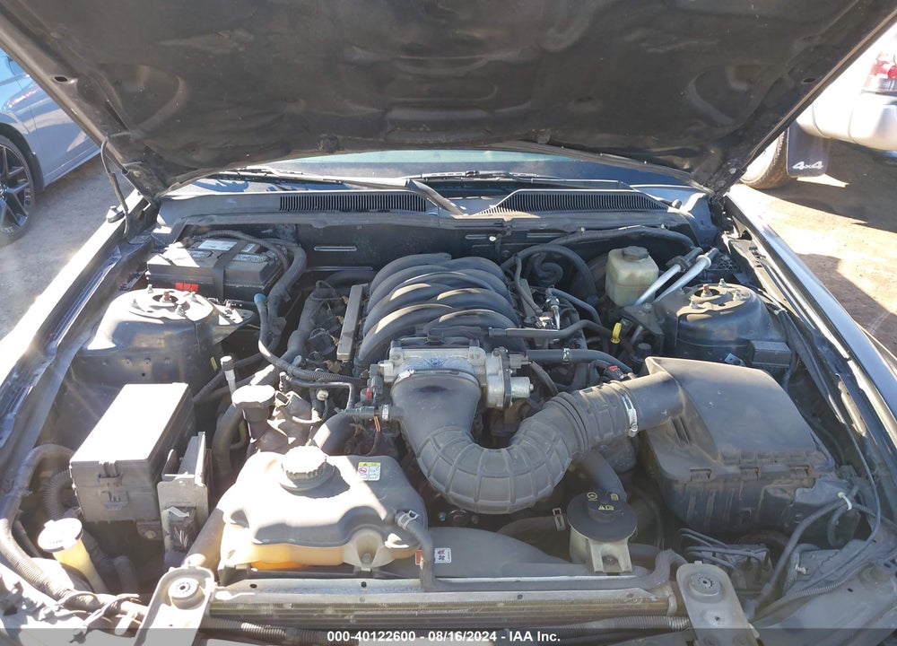 2005 FORD MUSTANG GT DELUXE/GT PREMIUM VIN: 1ZVFT82H655227395