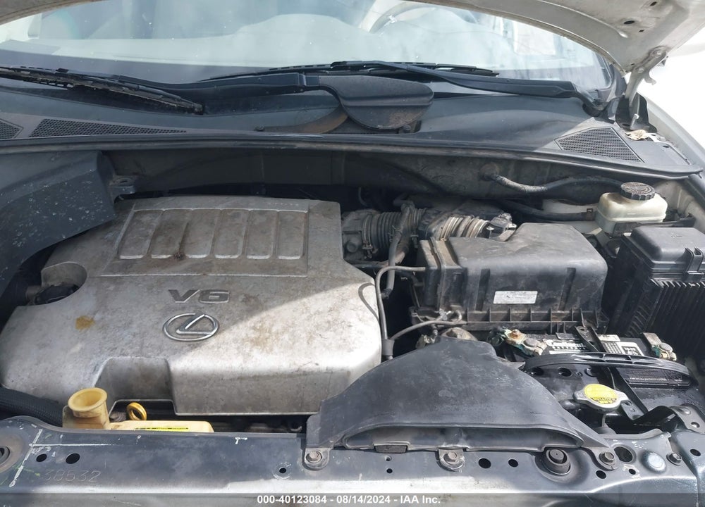2007 LEXUS RX 350 VIN: 2T2GK31U47C011042