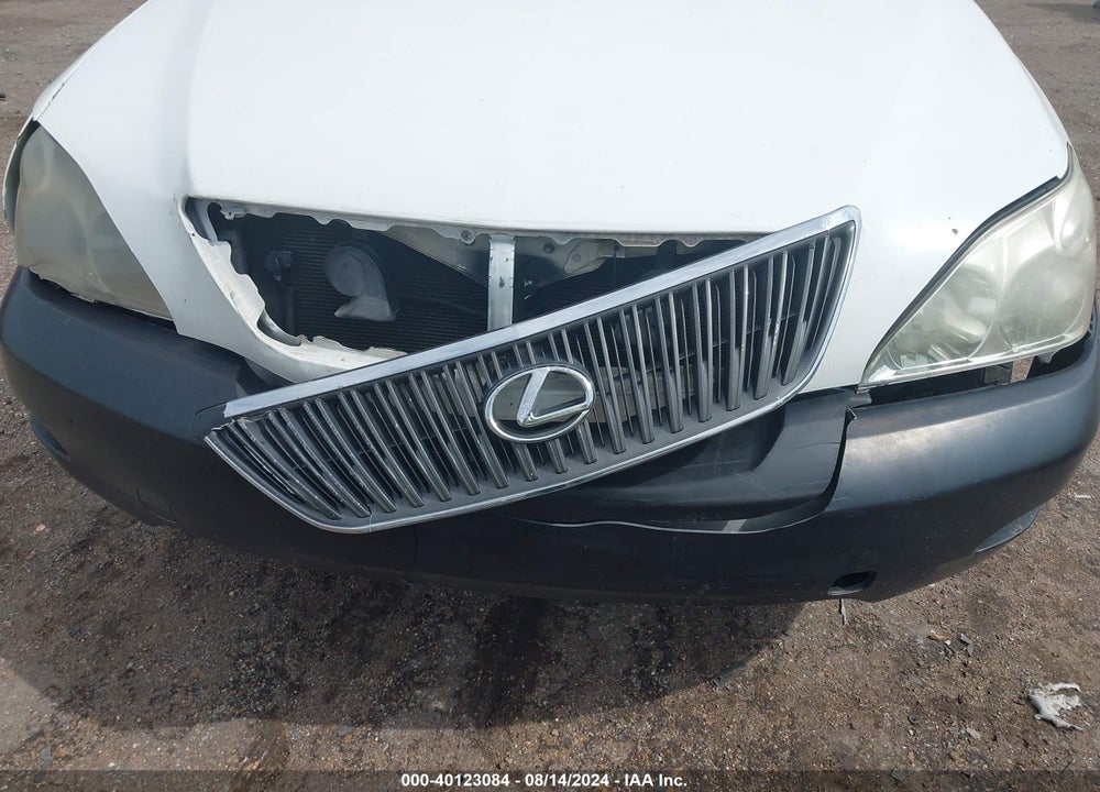 2007 LEXUS RX 350 VIN: 2T2GK31U47C011042