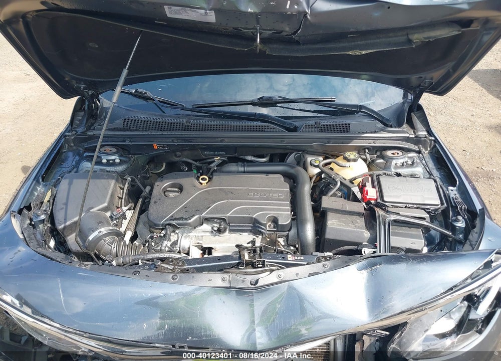 2019 CHEVROLET MALIBU LT VIN: 1G1ZD5ST7KF219949