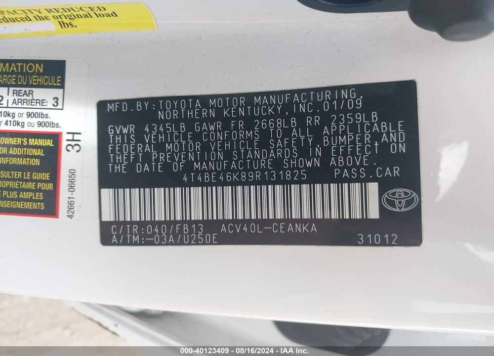 2009 TOYOTA CAMRY VIN: 4T4BE46K89R131825