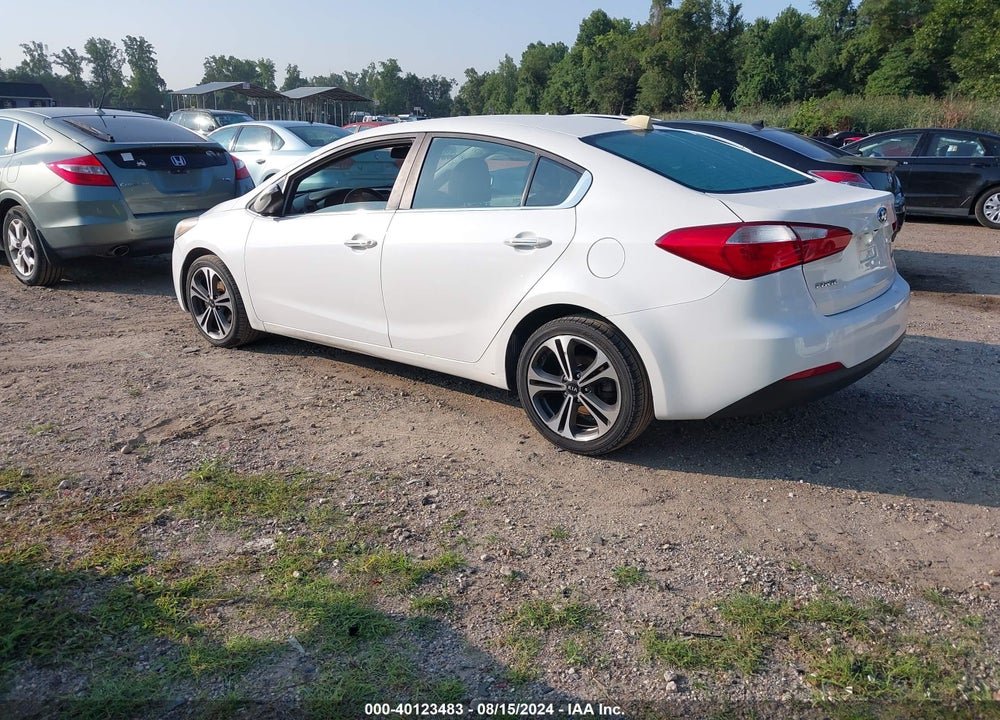 2014 KIA FORTE EX VIN: KNAFX4A82E5194796