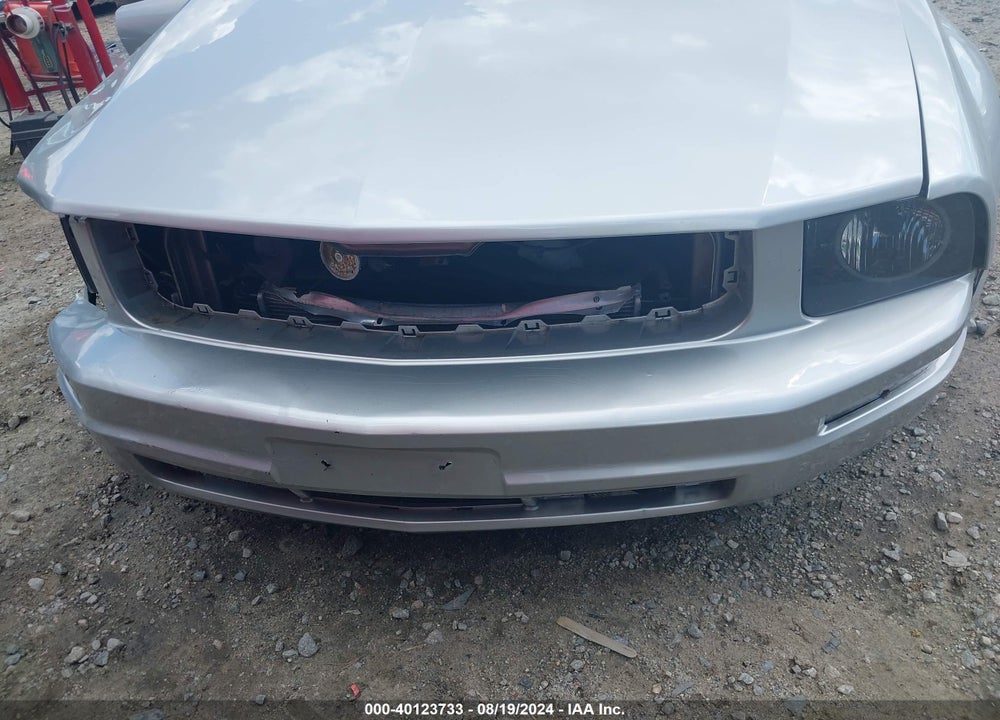 2009 FORD MUSTANG V6/V6 PREMIUM VIN: 1ZVHT84N095121736