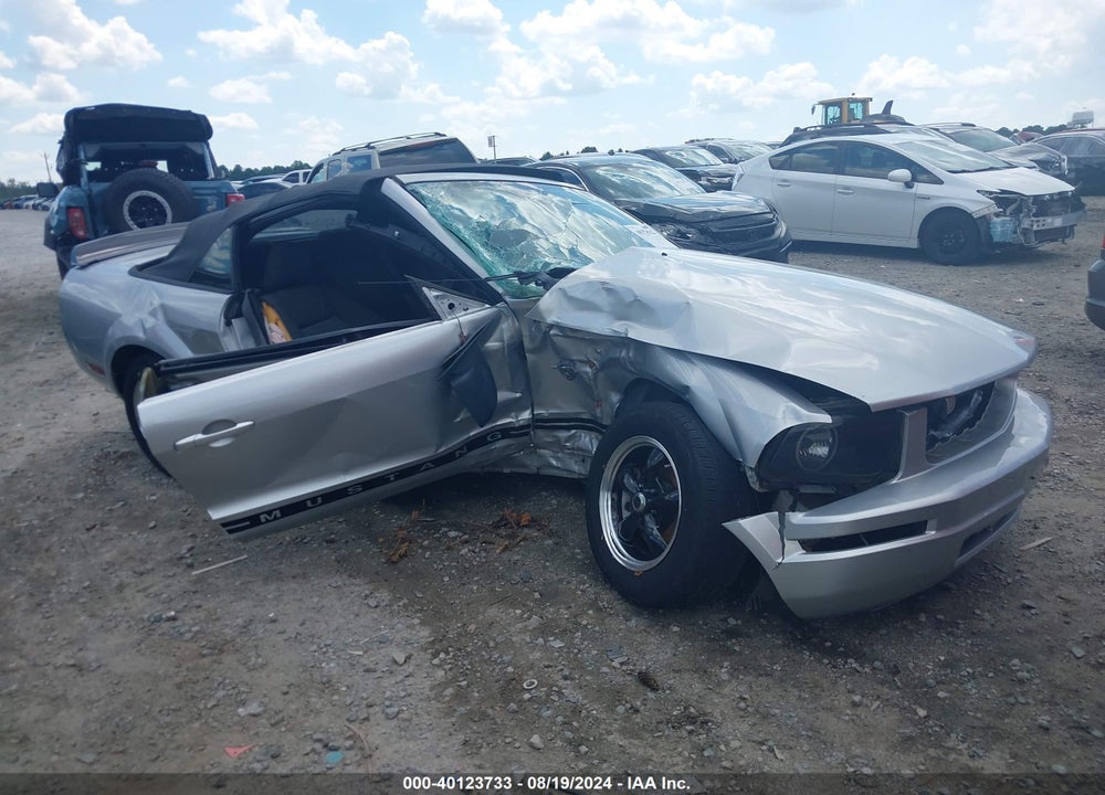 2009 FORD MUSTANG V6/V6 PREMIUM VIN: 1ZVHT84N095121736