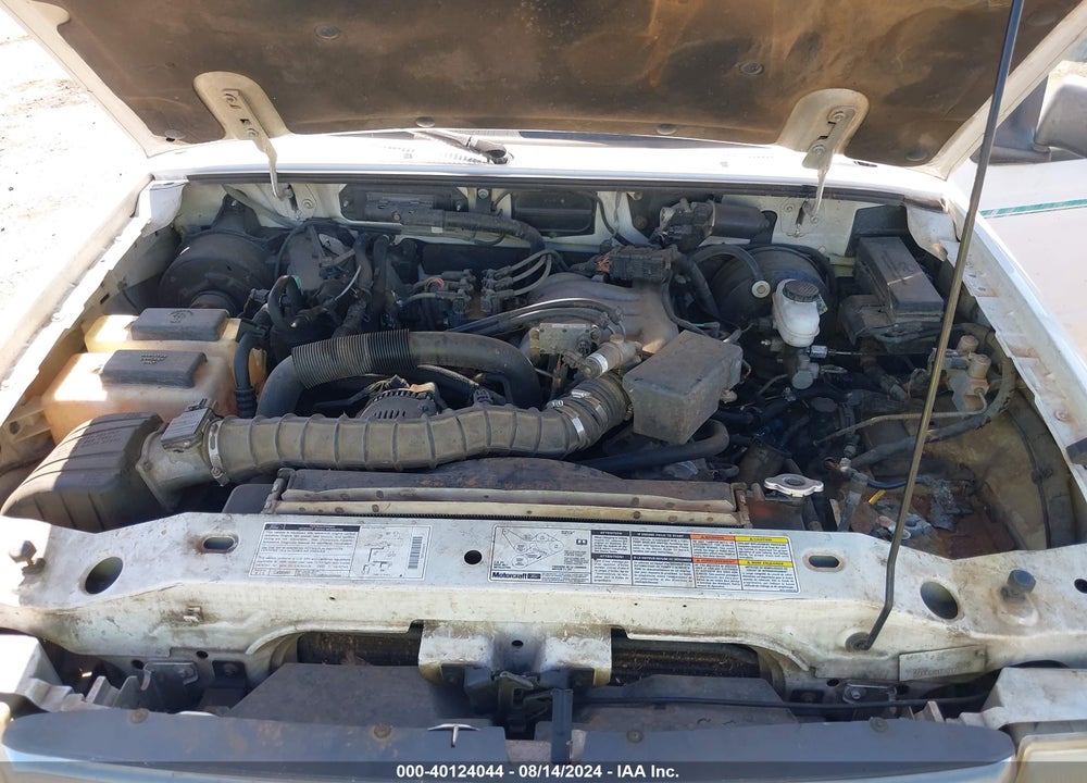 1998 FORD RANGER SPLASH/XL/XLT VIN: 1FTYR14U8WPB10998