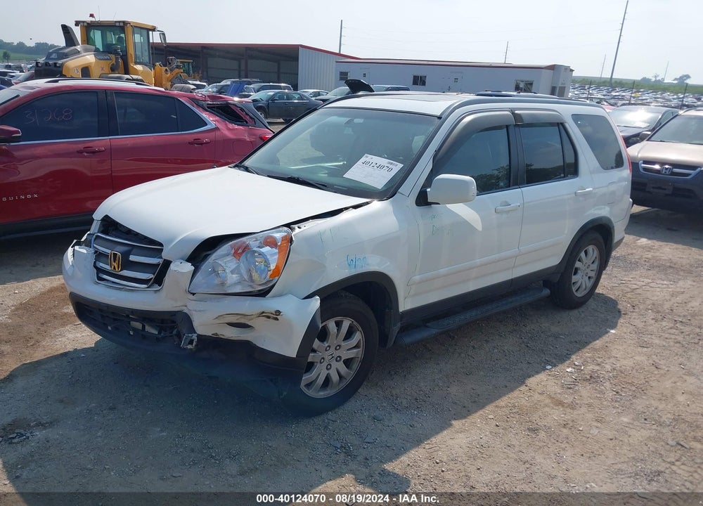 2006 HONDA CR-V SE VIN: JHLRD78916C005452