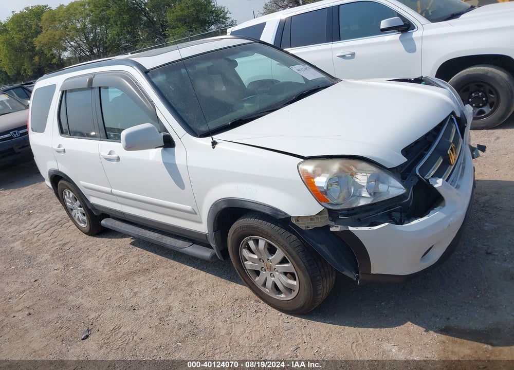 2006 HONDA CR-V SE VIN: JHLRD78916C005452