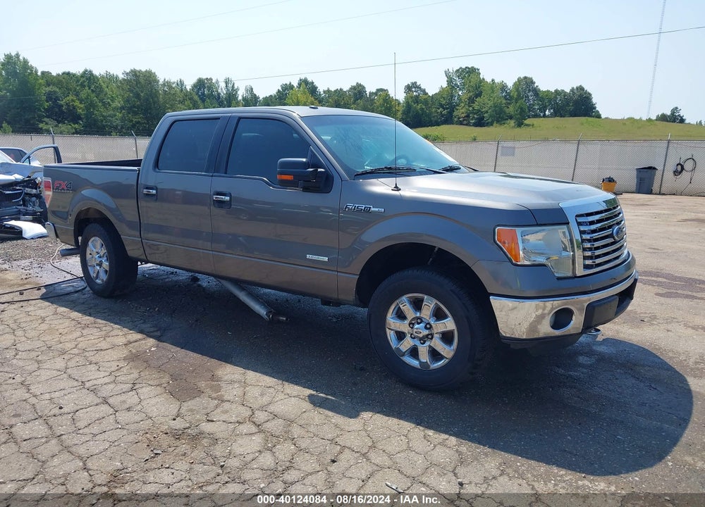 2013 FORD F-150 XLT VIN: 1FTFW1ET5DKG24033