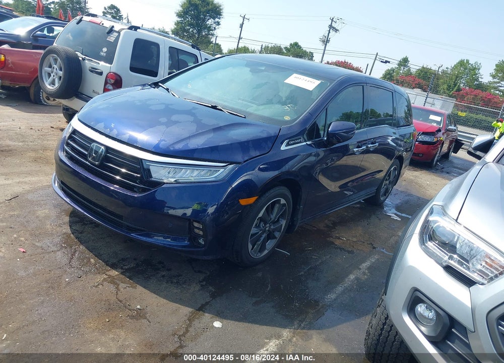 2024 HONDA ODYSSEY ELITE VIN: 5FNRL6H91RB018543