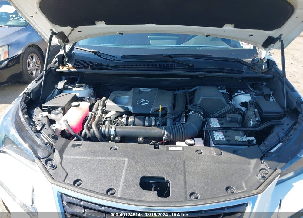 2021 LEXUS NX 300 VIN: JTJDARDZ7M5021932