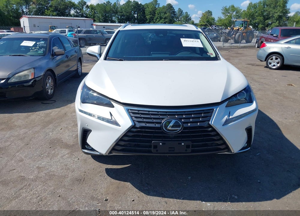 2021 LEXUS NX 300 VIN: JTJDARDZ7M5021932