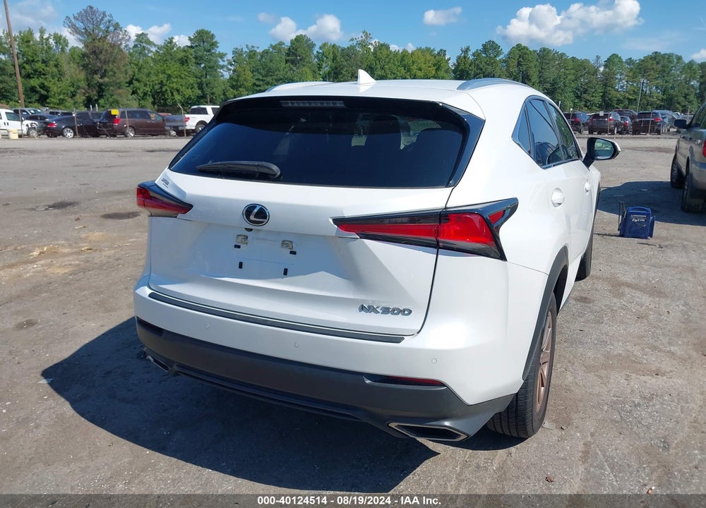 2021 LEXUS NX 300 VIN: JTJDARDZ7M5021932