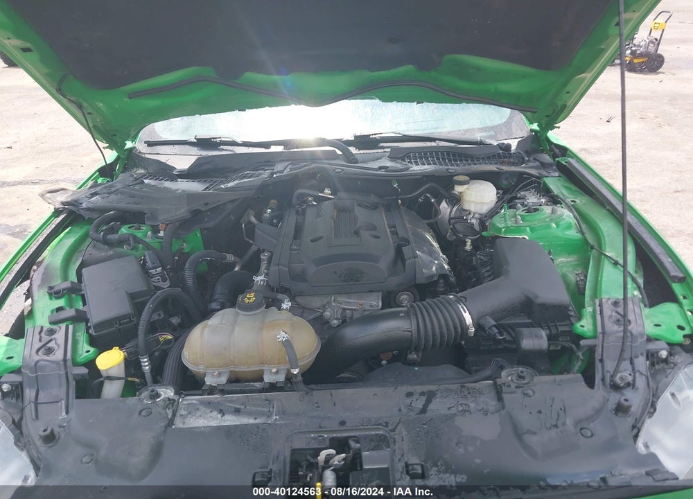 2019 FORD MUSTANG ECOBOOST VIN: 1FA6P8TH6K5116479