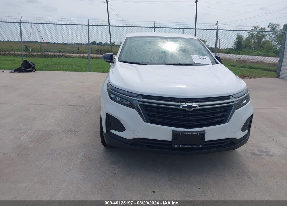 2024 CHEVROLET EQUINOX FWD LS VIN: 3GNAXHEG3RL313930