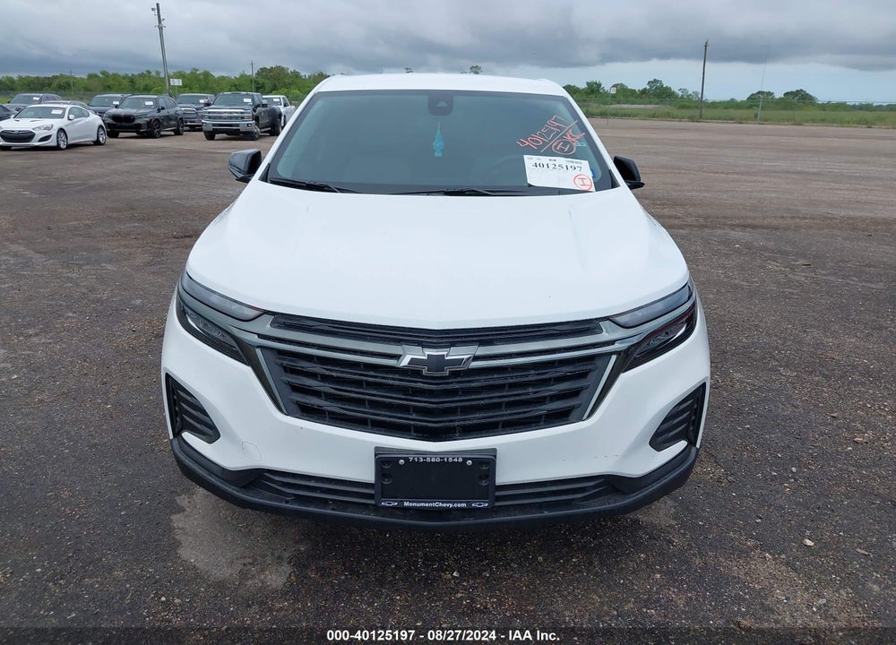 2024 CHEVROLET EQUINOX FWD LS VIN: 3GNAXHEG3RL313930