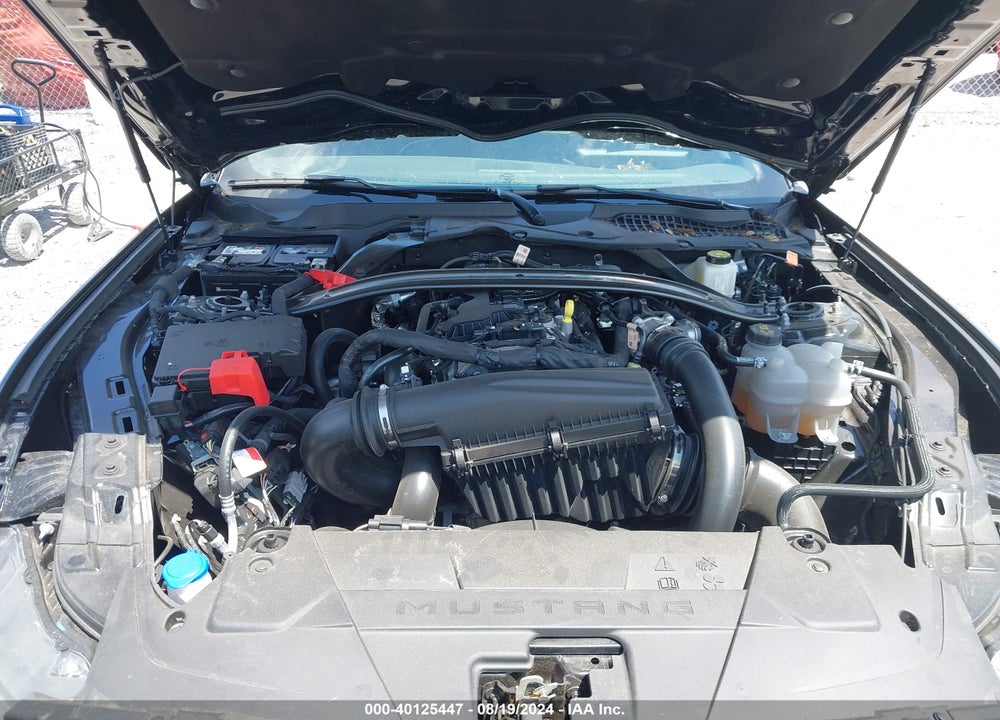 2024 FORD MUSTANG ECOBOOST/ECOBOOST PREMIUM VIN: 1FAGP8UHXR5106700