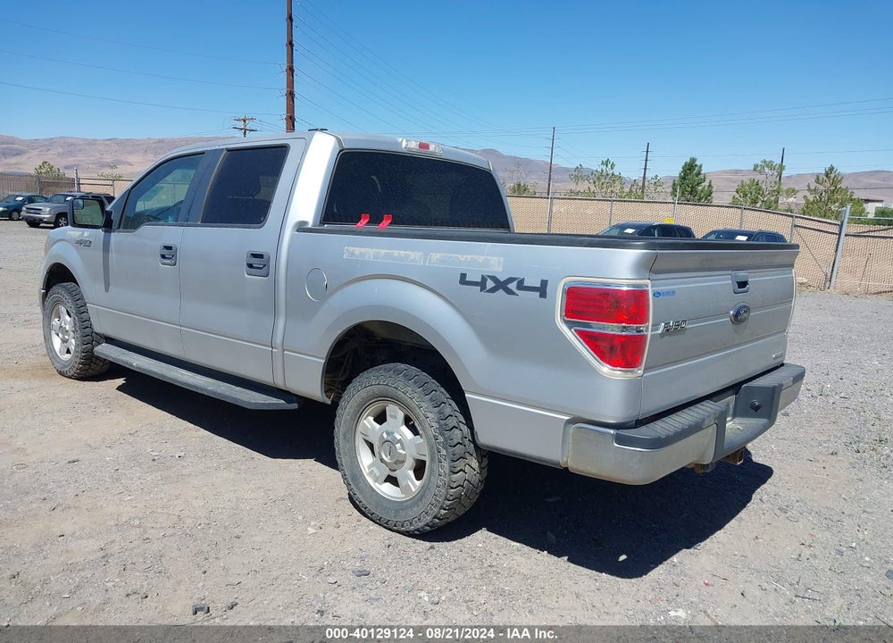 2013 FORD F-150 XLT VIN: 1FTFW1EF9DFA69056