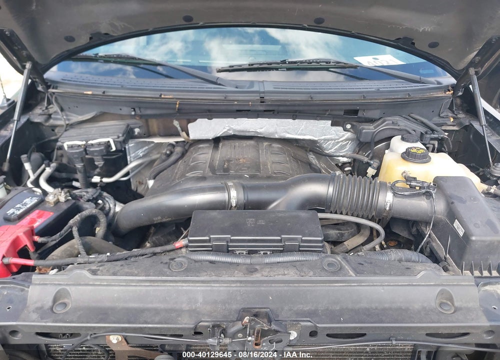 2013 FORD F-150 FX4 VIN: 1FTFW1ET9DKD65157