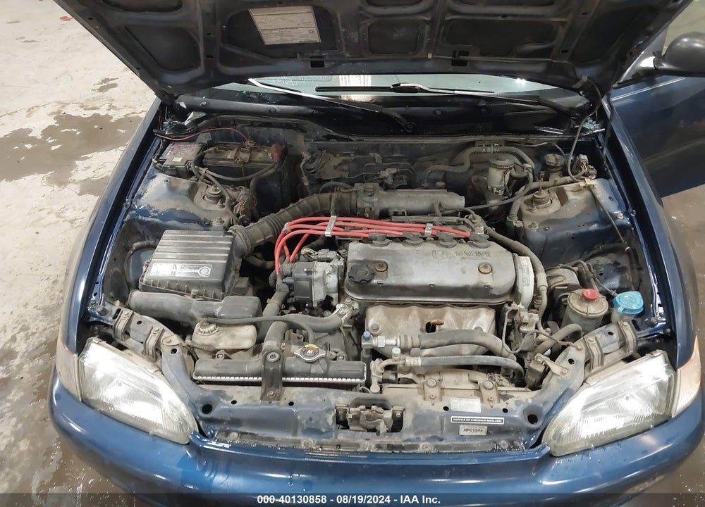 1995 HONDA CIVIC DX/LX VIN: 1HGEG8543SL013873