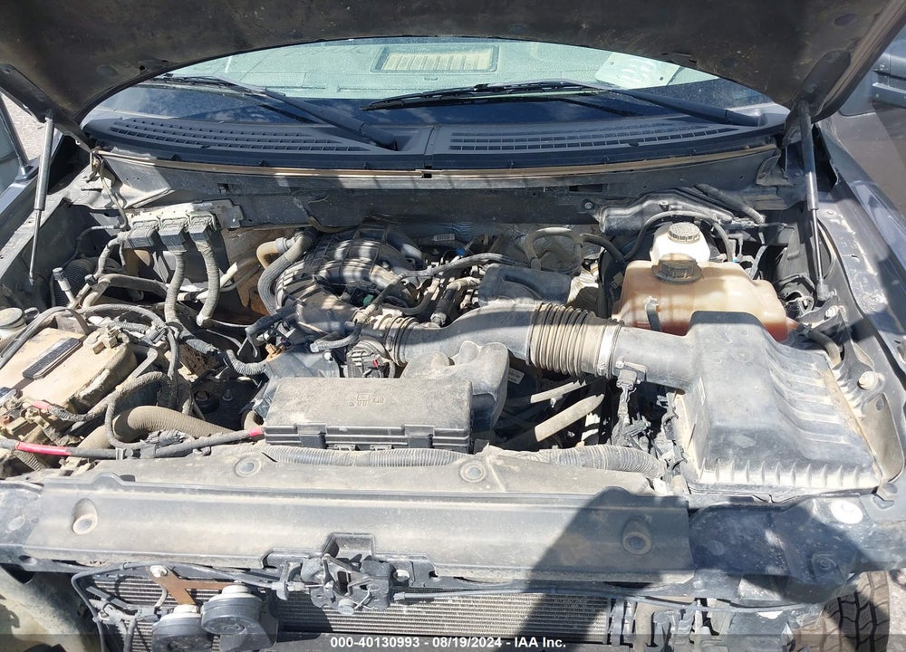2013 FORD F-150 STX VIN: 1FTMF1EM9DKE31139
