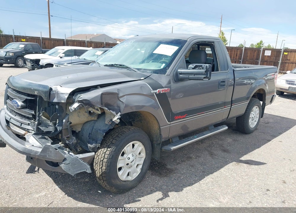 2013 FORD F-150 STX VIN: 1FTMF1EM9DKE31139