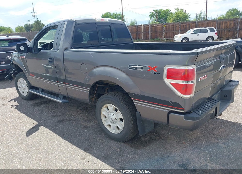 2013 FORD F-150 STX VIN: 1FTMF1EM9DKE31139