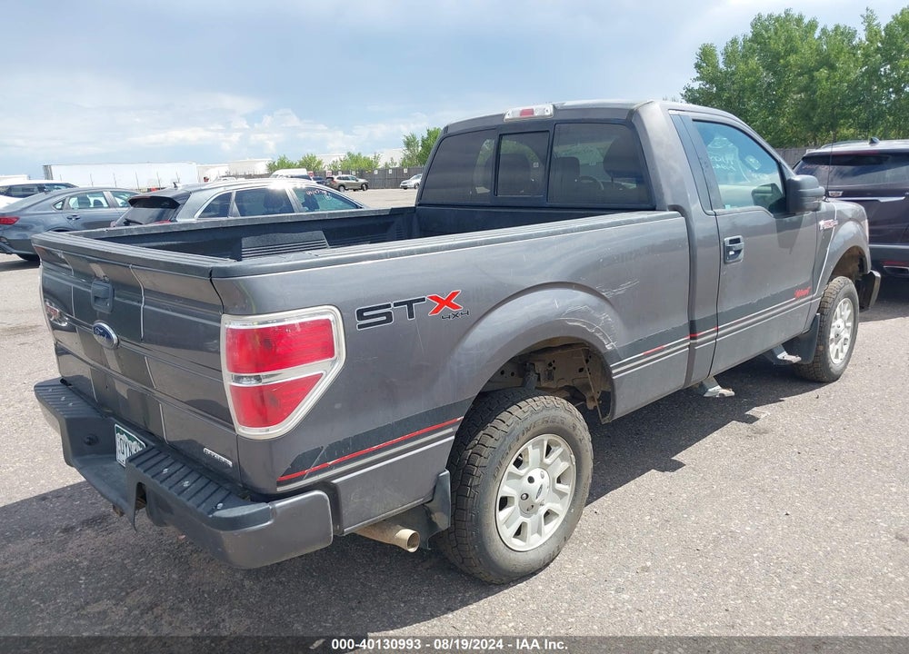 2013 FORD F-150 STX VIN: 1FTMF1EM9DKE31139