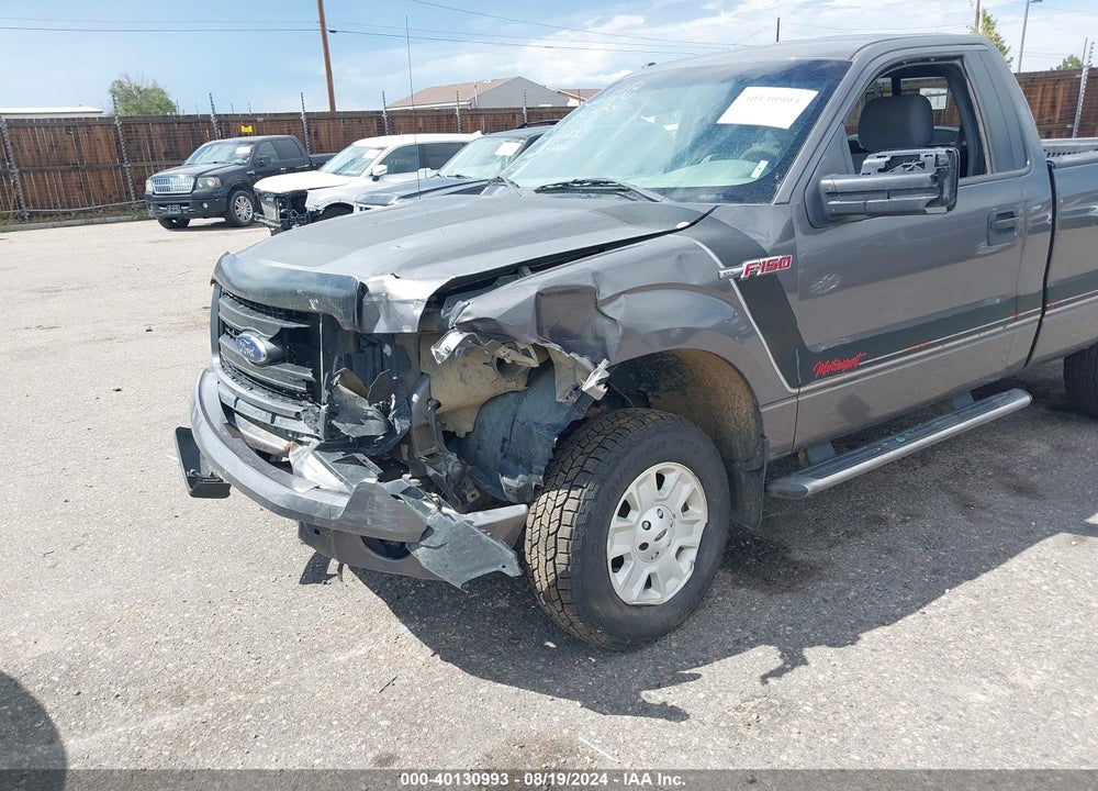 2013 FORD F-150 STX VIN: 1FTMF1EM9DKE31139