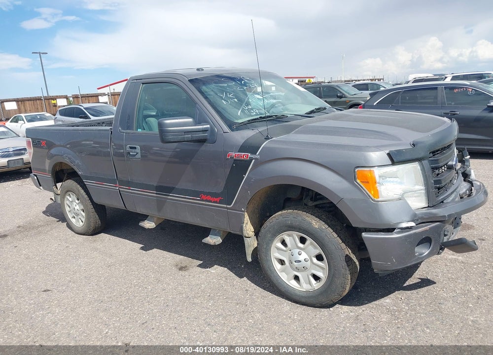 2013 FORD F-150 STX VIN: 1FTMF1EM9DKE31139