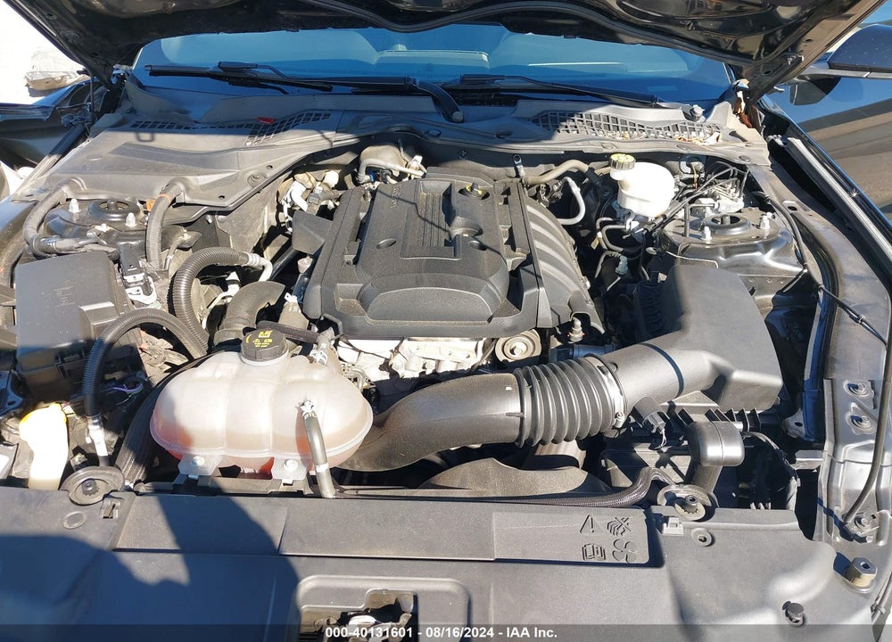 2019 FORD MUSTANG ECOBOOST VIN: 1FA6P8THXK5186146