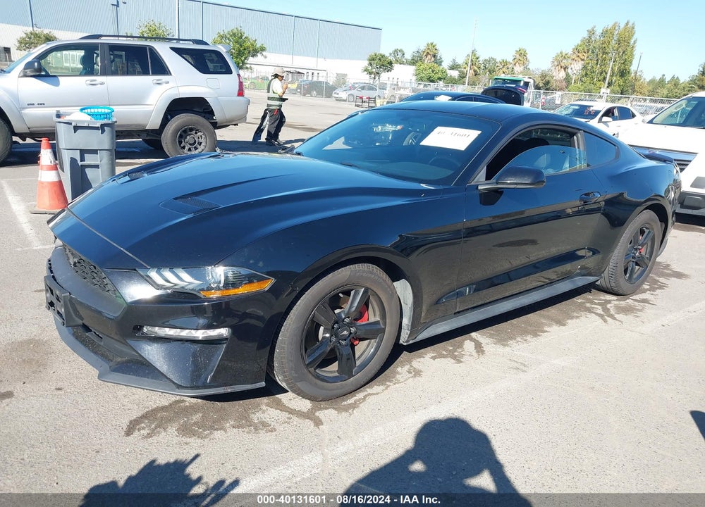 2019 FORD MUSTANG ECOBOOST VIN: 1FA6P8THXK5186146