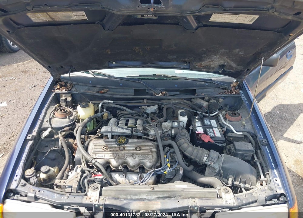 1996 FORD ESCORT LX VIN: 3FASP11J6TR137830