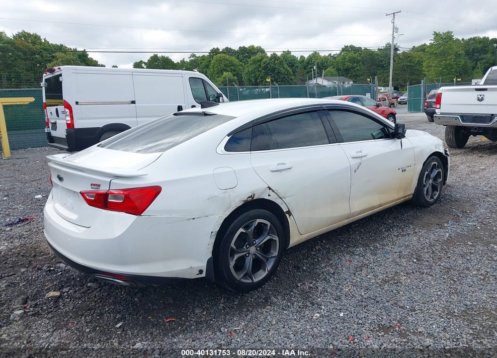 2019 CHEVROLET MALIBU RS VIN: 1G1ZG5ST6KF175627