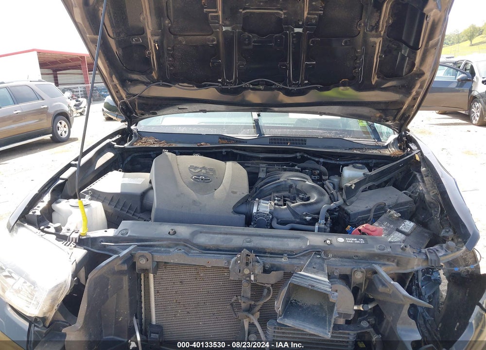 2019 TOYOTA TACOMA TRD OFF ROAD VIN: 3TMDZ5BN0KM062401