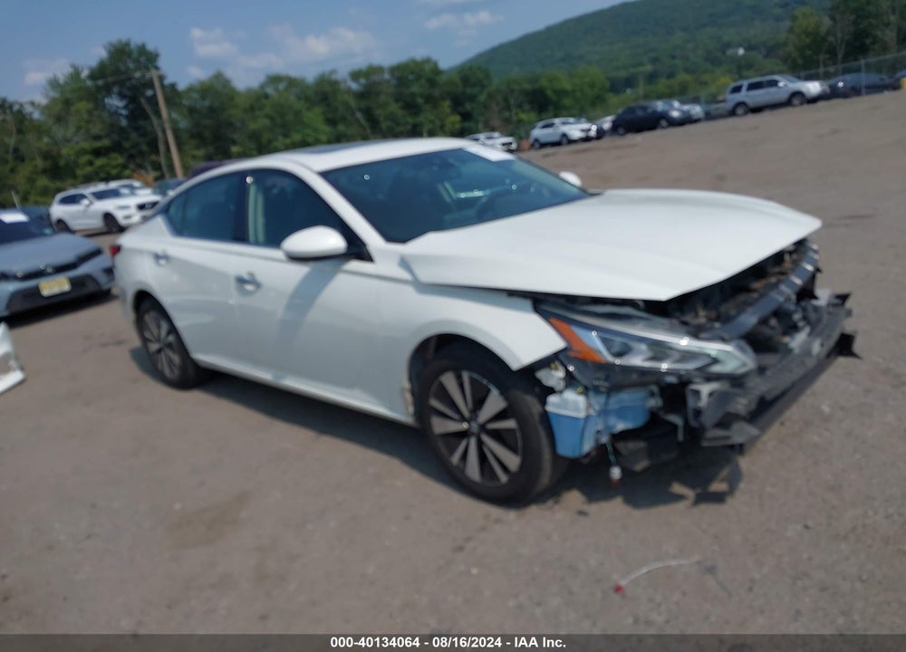 2019 NISSAN ALTIMA 2.5 SV VIN: 1N4BL4DW2KC135395