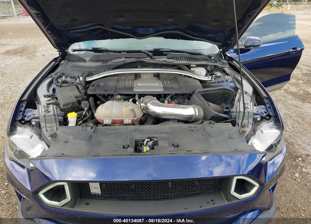 2019 FORD MUSTANG GT VIN: 1FA6P8CF0K5117688