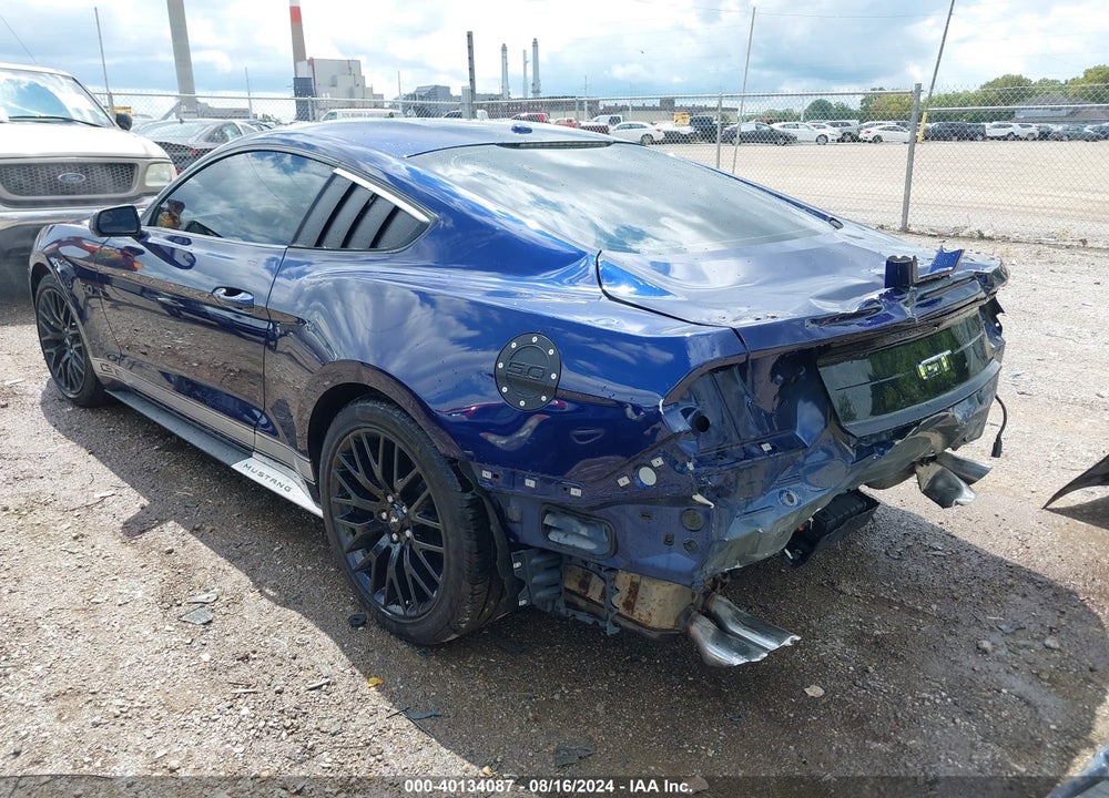 2019 FORD MUSTANG GT VIN: 1FA6P8CF0K5117688