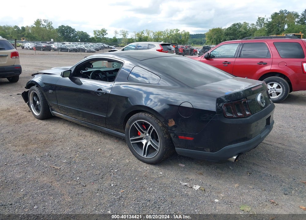 2010 FORD MUSTANG GT/GT PREMIUM VIN: 1ZVBP8CH1A5129211