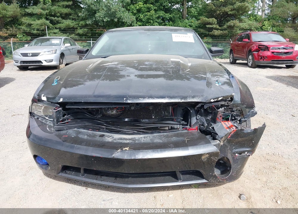 2010 FORD MUSTANG GT/GT PREMIUM VIN: 1ZVBP8CH1A5129211
