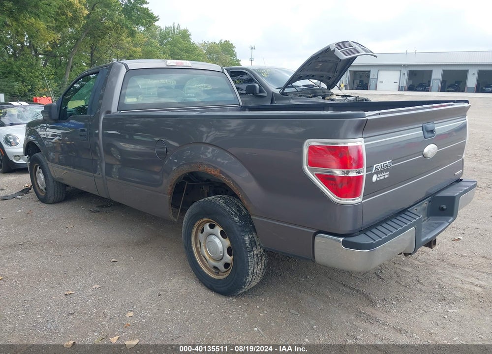 2011 FORD F-150 XL VIN: 1FTMF1CMXBKD67435