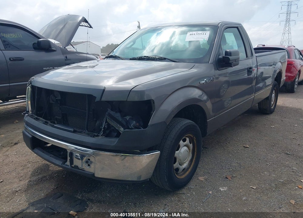 2011 FORD F-150 XL VIN: 1FTMF1CMXBKD67435