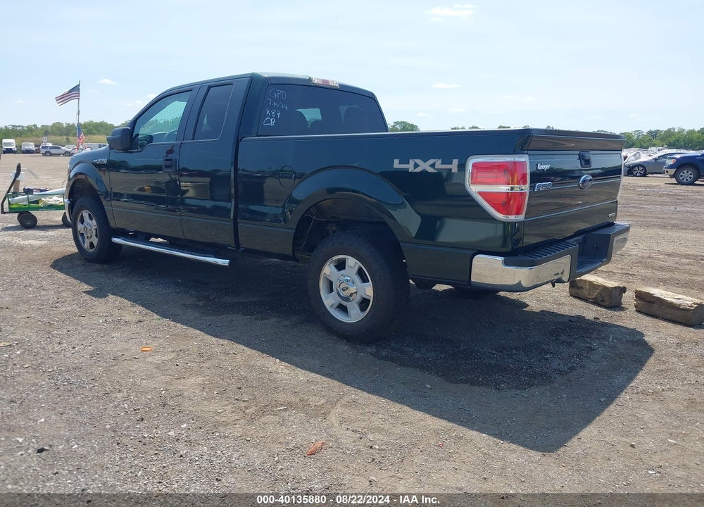 2013 FORD F-150 XLT VIN: 1FTFX1EFXDFA03287