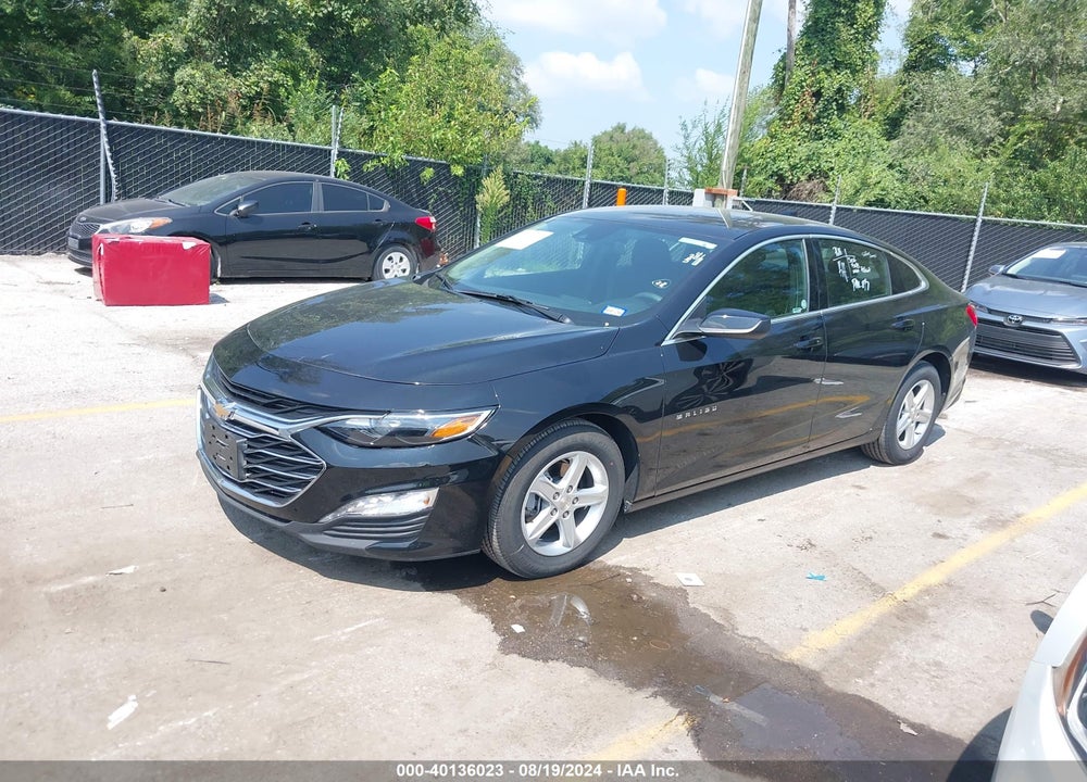 2024 CHEVROLET MALIBU FWD 1LT VIN: 1G1ZD5ST1RF162447