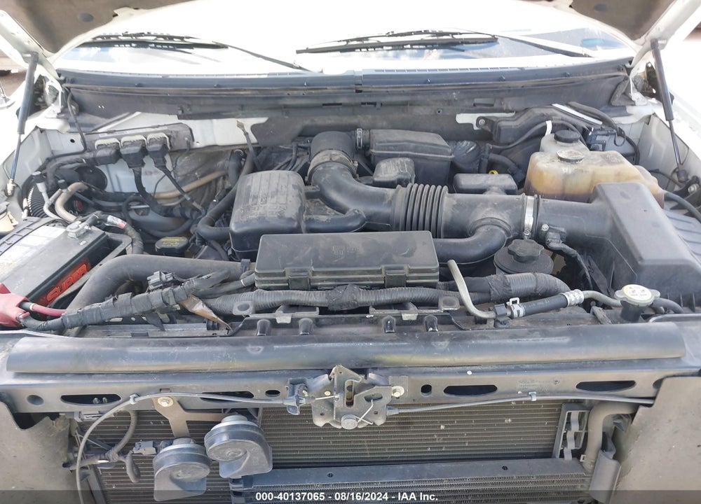 2010 HARLEY FORD F-150 FX4/-DAVIDSON/KING RANCH/LARIAT/PLATINUM/XL/XLT VIN: 1FTFW1EV6AKE19124