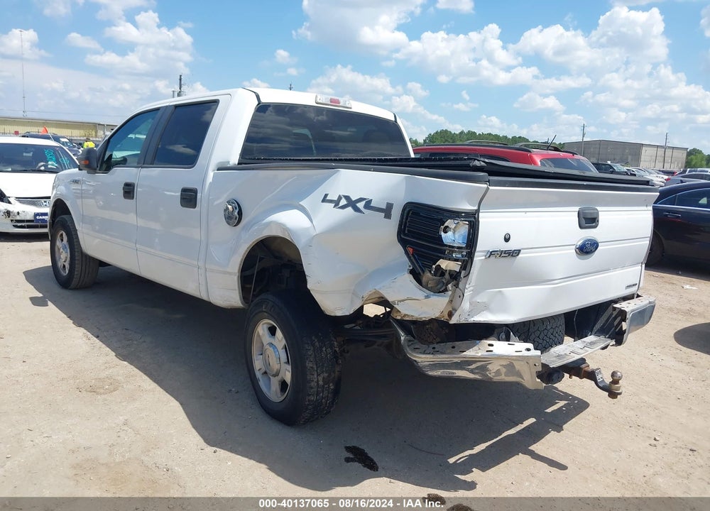 2010 HARLEY FORD F-150 FX4/-DAVIDSON/KING RANCH/LARIAT/PLATINUM/XL/XLT VIN: 1FTFW1EV6AKE19124